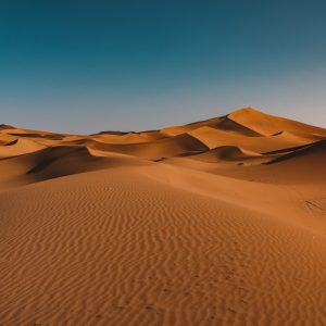 Golden Desert